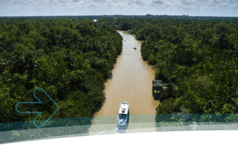 River in the middle of a forest - Aazonia Forever - Inter American Development Bank - IDB