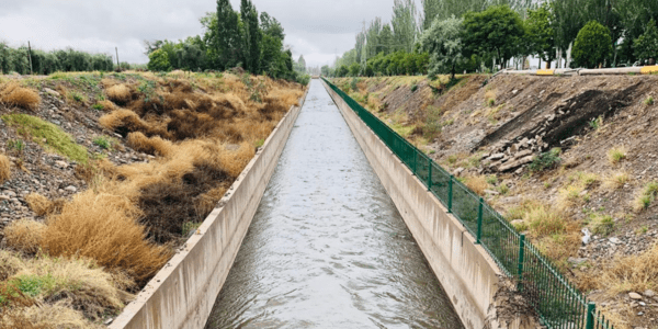 How a Strategic Approach to Infrastructure Boosted Agricultural Productivity and Resilience in Argentina