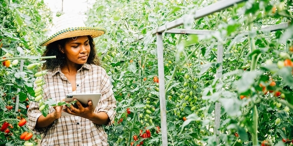 Banking on Competition: Why Financial Markets Matter for Development