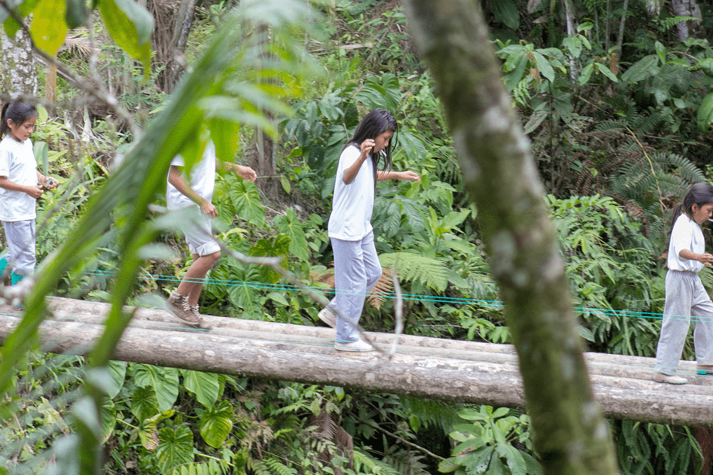 Children crossing an unstable wooden bridge together.