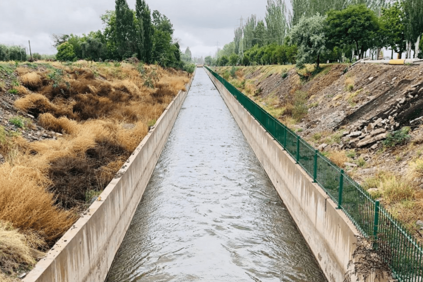 How a Strategic Approach to Infrastructure Boosted Agricultural Productivity and Resilience in Argentina