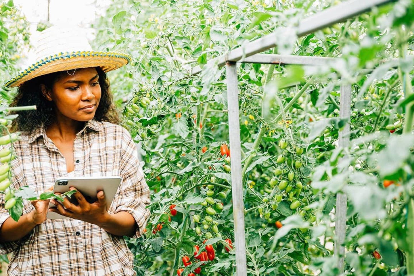 Banking on Competition: Why Financial Markets Matter for Development