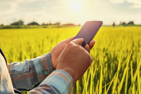 Persona usando su celular en una zona rural. Comercio y transformación digital - Banco Interamericano de Desarrollo - BID 