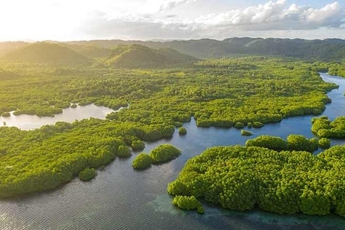 An aerial view of a river in the forest Development - Inter-American Development Bank - IDB