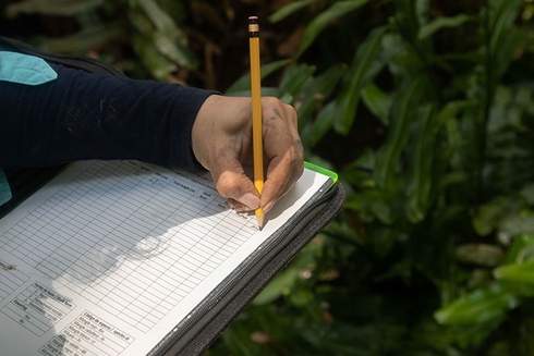 A person writing on a piece of paper - Inter American Development Bank – IDB Financial Markets