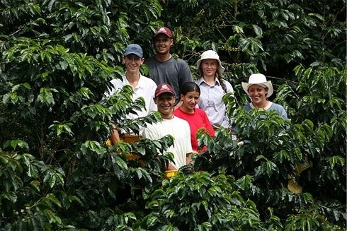 a group of people standing in a plantation