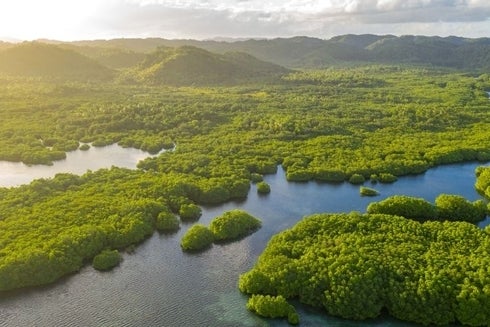 Aerial view of a river surrounded by trees. Environment - Inter-American Development Bank - IDB