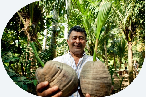 A person holding two round objects - Inter-American Development Bank - IDB