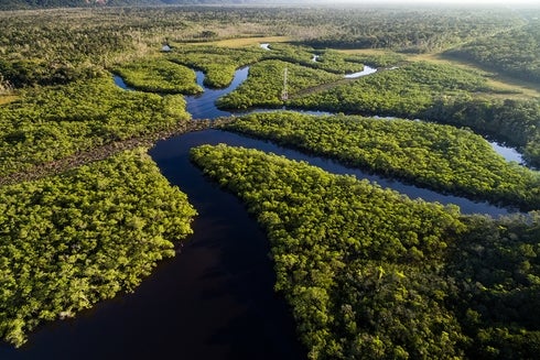 Amazon River -Invest - Inter American Development Bank - IDB