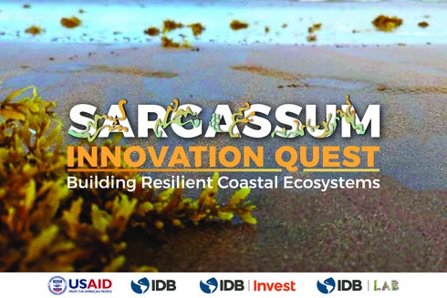 Sargassum - Call for proposal - Inter American Development Bank - IDB