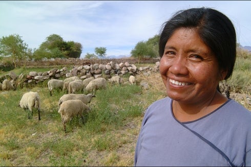 Farmer Woman Smiling Next To Her Cows- Investor - Inter American Development Bank - IDB