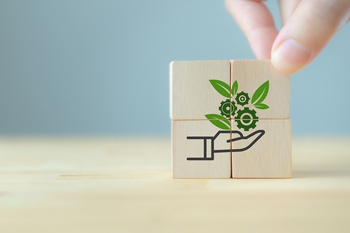 Box on table with nature symbol and hand - Inter American Development Bank - IDB Investors