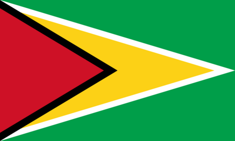 The flag of Guyana