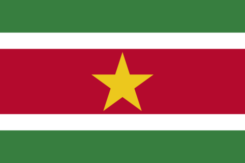 The flag of Suriname